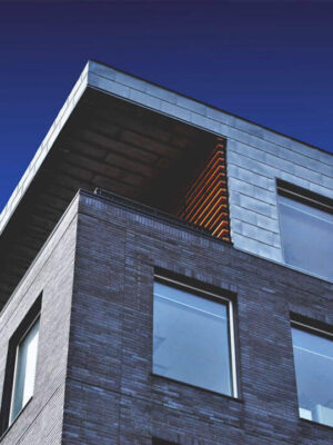 etienne-beauregard-riverin-48305-unsplash Ball Cactus